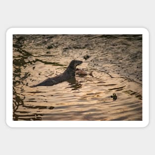 River Otter Sticker